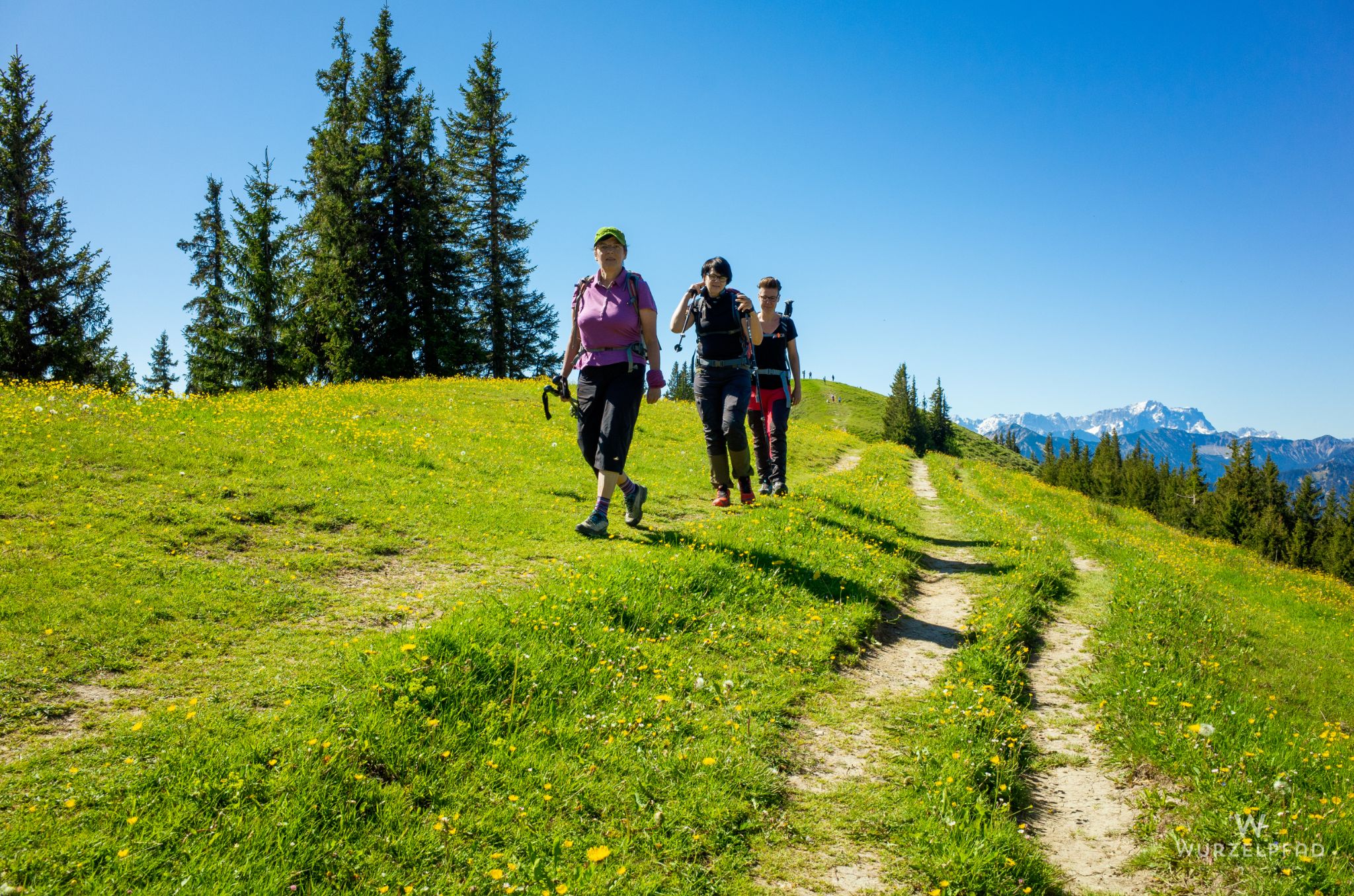 Zwischen Stierkopf und Hinterem Hörnle